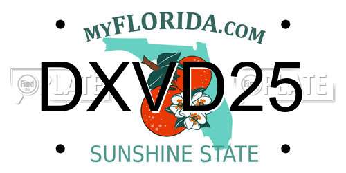DXVD25 Florida License Plate