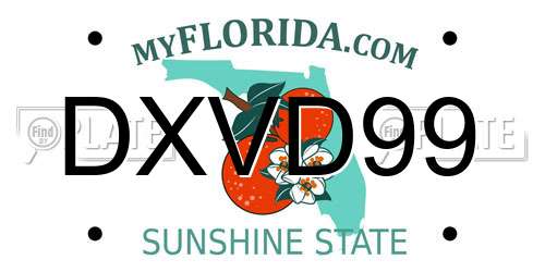 DXVD99 Florida License Plate