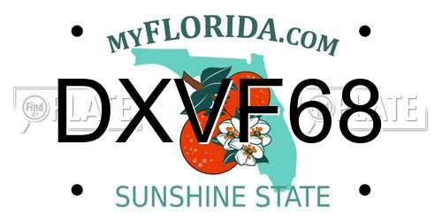DXVF68 Florida License Plate