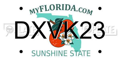 DXVK23 Florida License Plate