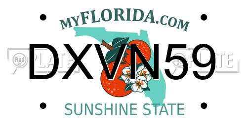 DXVN59 Florida License Plate