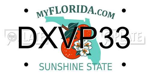 DXVP33 Florida License Plate
