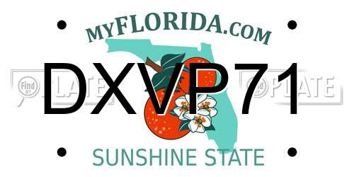 DXVP71 Florida License Plate