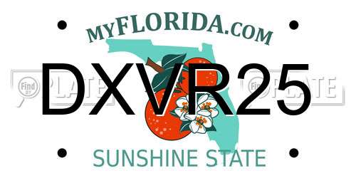 DXVR25 Florida License Plate