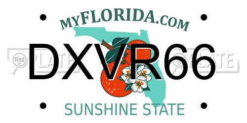DXVR66 Florida License Plate