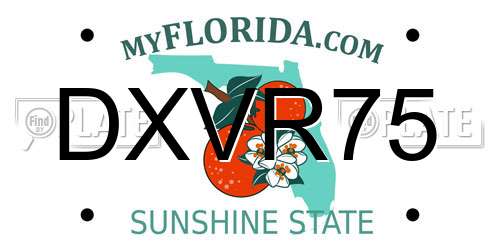 DXVR75 Florida License Plate