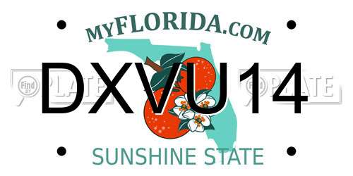 DXVU14 Florida License Plate