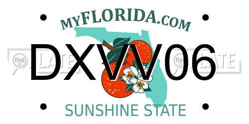 DXVV06 Florida License Plate