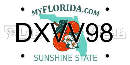 DXVV98 Florida License Plate