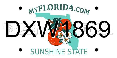 DXW1869 Florida License Plate