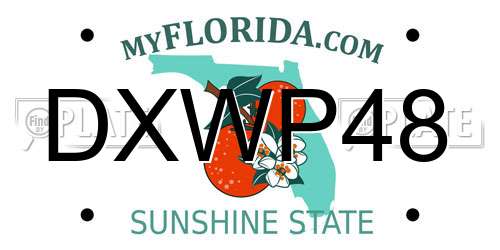 DXWP48 Florida License Plate