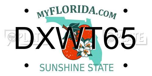 DXWT65 Florida License Plate