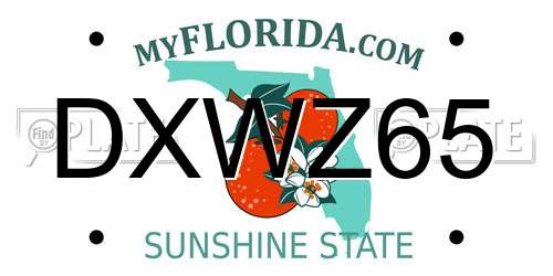 DXWZ65 Florida License Plate