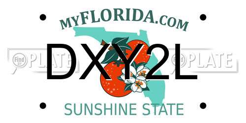 DXY2L Florida License Plate