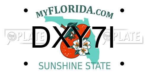 DXY7I Florida License Plate