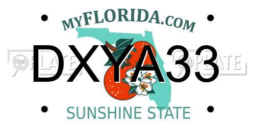 DXYA33 Florida License Plate