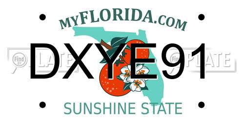 DXYE91 Florida License Plate