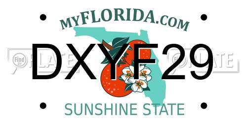 DXYF29 Florida License Plate