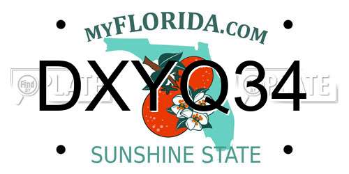DXYQ34 Florida License Plate