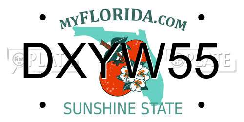 DXYW55 Florida License Plate