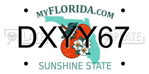 DXYY67 Florida License Plate