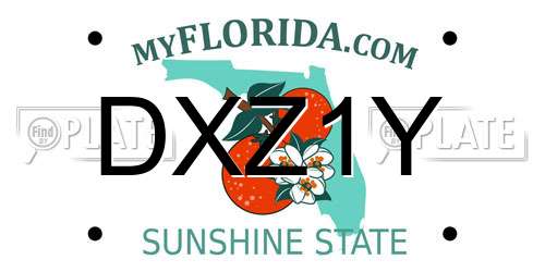 DXZ1Y Florida License Plate