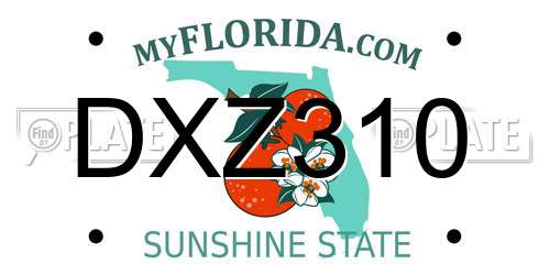 DXZ310 Florida License Plate