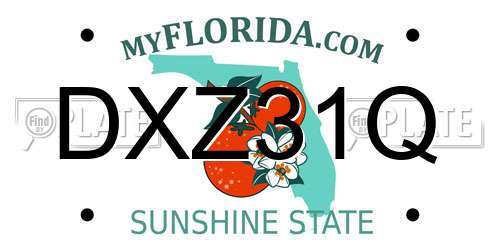 DXZ31Q Florida License Plate