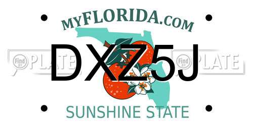DXZ5J Florida License Plate