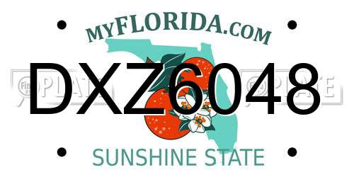 DXZ6048 Florida License Plate