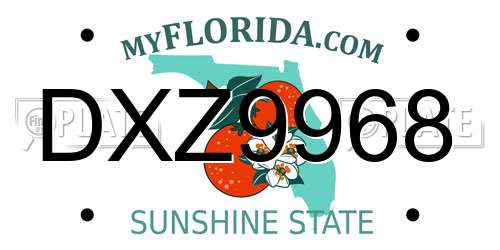 DXZ9968 Florida License Plate