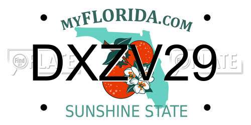 DXZV29 Florida License Plate
