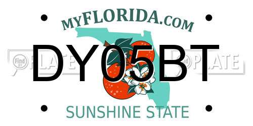 DY05BT Florida License Plate