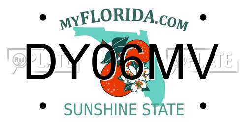 DY06MV Florida License Plate