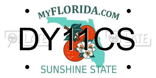 DY11CS Florida License Plate