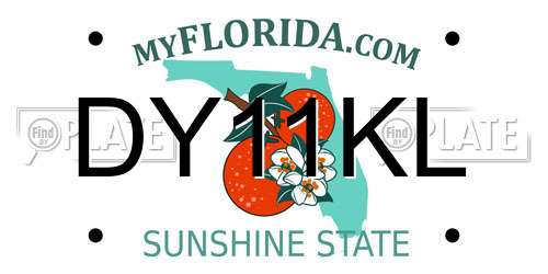 DY11KL Florida License Plate