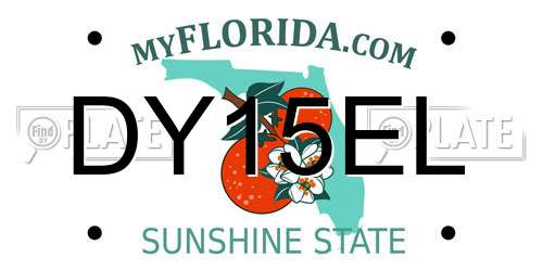 DY15EL Florida License Plate