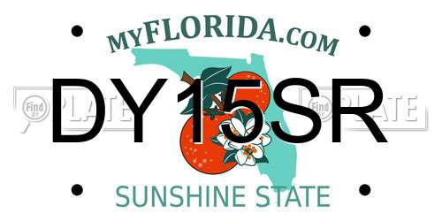 DY15SR Florida License Plate