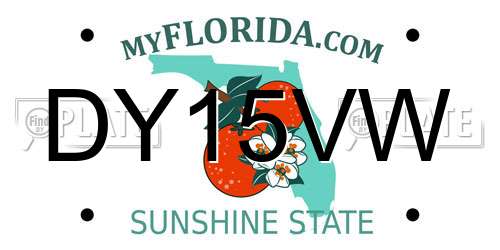 DY15VW Florida License Plate