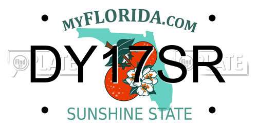 DY17SR Florida License Plate
