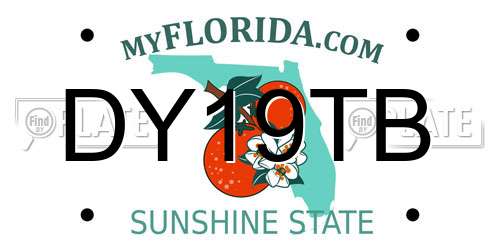 DY19TB Florida License Plate