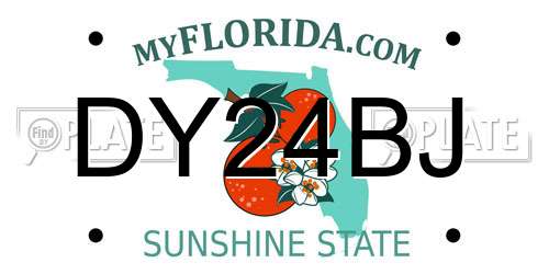 DY24BJ Florida License Plate