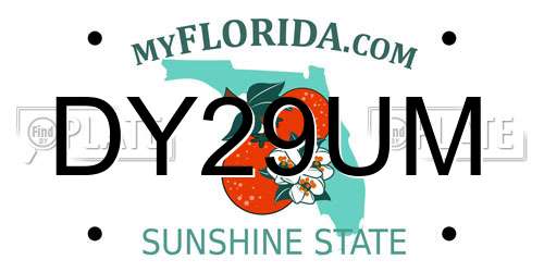 DY29UM Florida License Plate