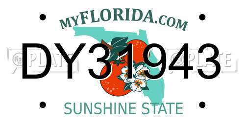 DY31943 Florida License Plate