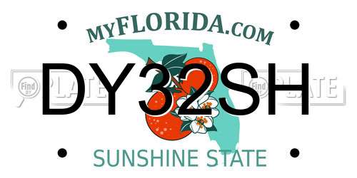DY32SH Florida License Plate