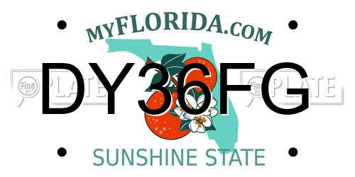 DY36FG Florida License Plate