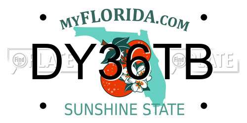 DY36TB Florida License Plate