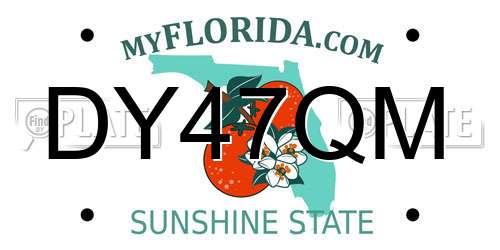 DY47QM Florida License Plate