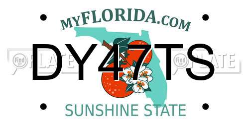 DY47TS Florida License Plate