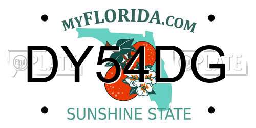 DY54DG Florida License Plate
